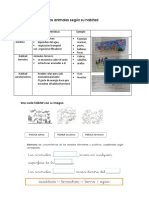 Practica Ciencias