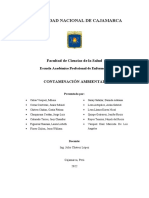 Informe Contaminacion Ambiental Quimica