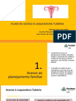 Fluxo de Acesso À Laqueadura CORES