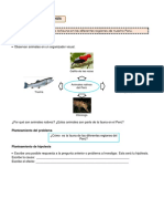 Ciencia y Tecnologia