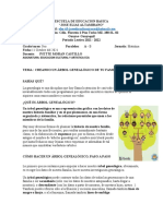 Proyecto 4 Semana 2 de Eca Arbol Genealogico