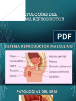 Clase 3 - Patologías Del Sistema Reproductor D.D