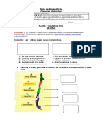 Ciencias Martes 7