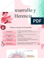 Desarrollo y Herencia