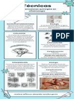 Infografia Informacion de Salud Ilustrativo Sencilla Celeste y Blanco