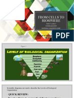 Grade 7 - Consolidation4 - From Cells To Biosphere