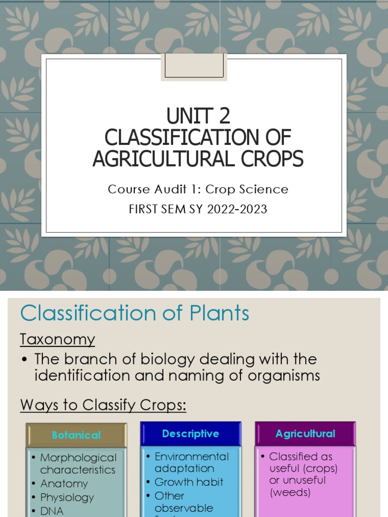 Unit 2 Classification of Crops PDF Genus Cereals