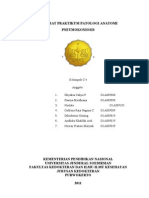 Referat Praktikum Patologi Anatomi