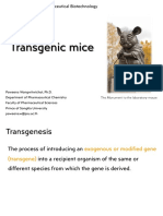 595-761 Transgenic Mice 2022 PW