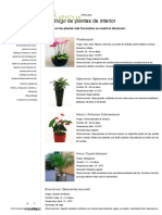 Catálogo de Plantas de Interior