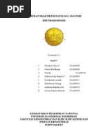 Download Referat Praktikum Patologi Anatomiii by Rostikawaty Azizah SN66691568 doc pdf