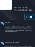 Arterias de Los Miembros Pélvicos