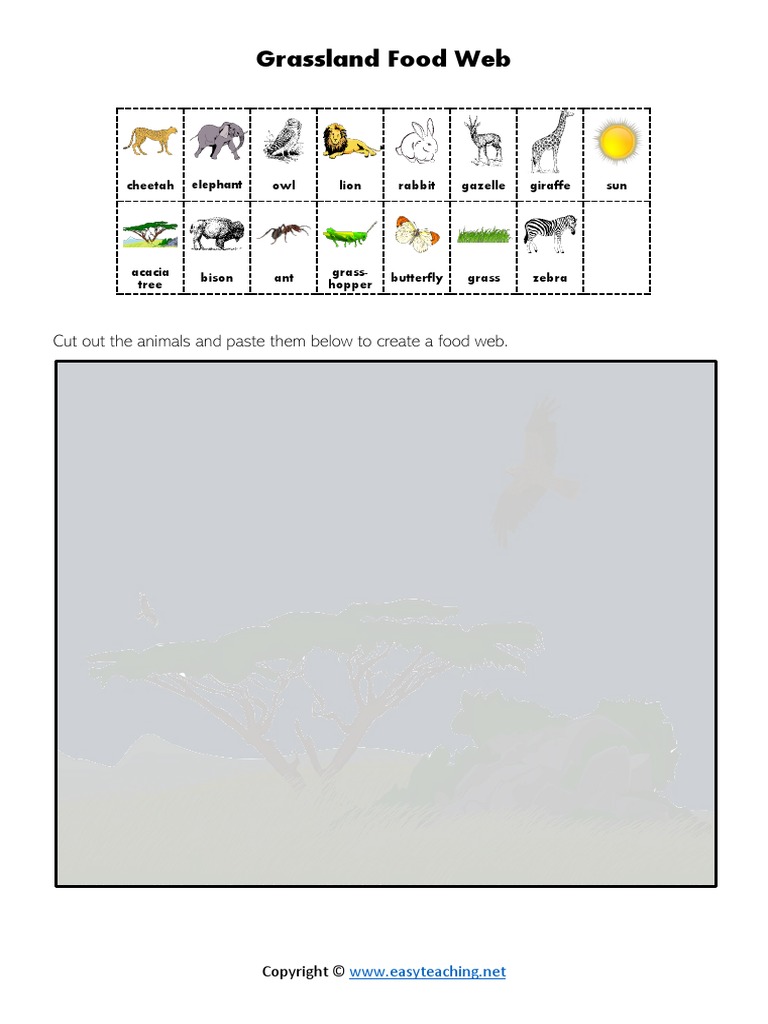 Grassland Food Web: Cut Out The Animals and Paste Them Below To Create ... Biology Diagrams
