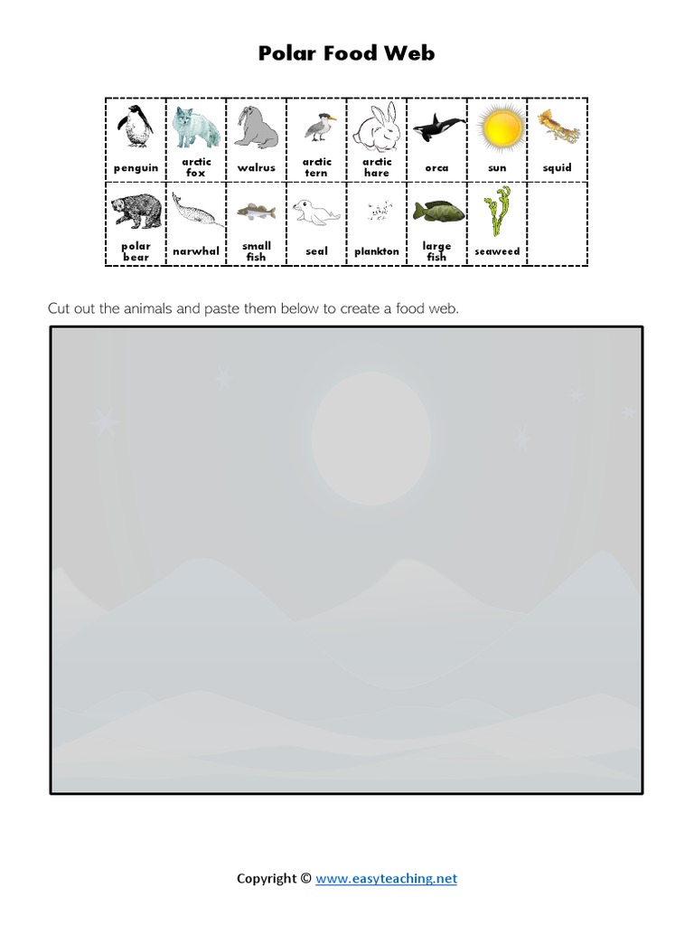 Polar food web cut out the animals and paste them below to create a