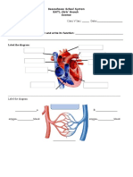 Week 6. Lesson#2 - Term2 - Human Body System - Reinforcement