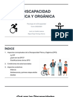 Discapacidad Fisica y Organica