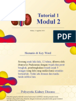 Tutorial 2