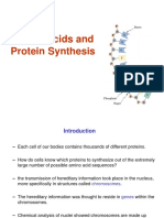 Biochemistry - Nucleic Acids and Protein Synthesis