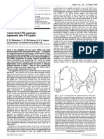 1980-Axons From CNS Neurones Regenerate Into PNS Grafts