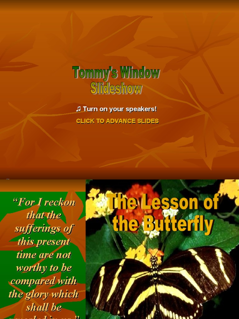 Unveiling The Secrets M Butterfly Play Pdf Download - nmikkip