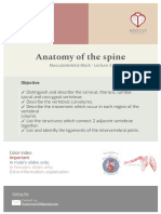 Anatomy of The Spine