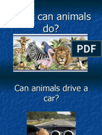What Can Animals Do