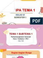 IPA Tema 1