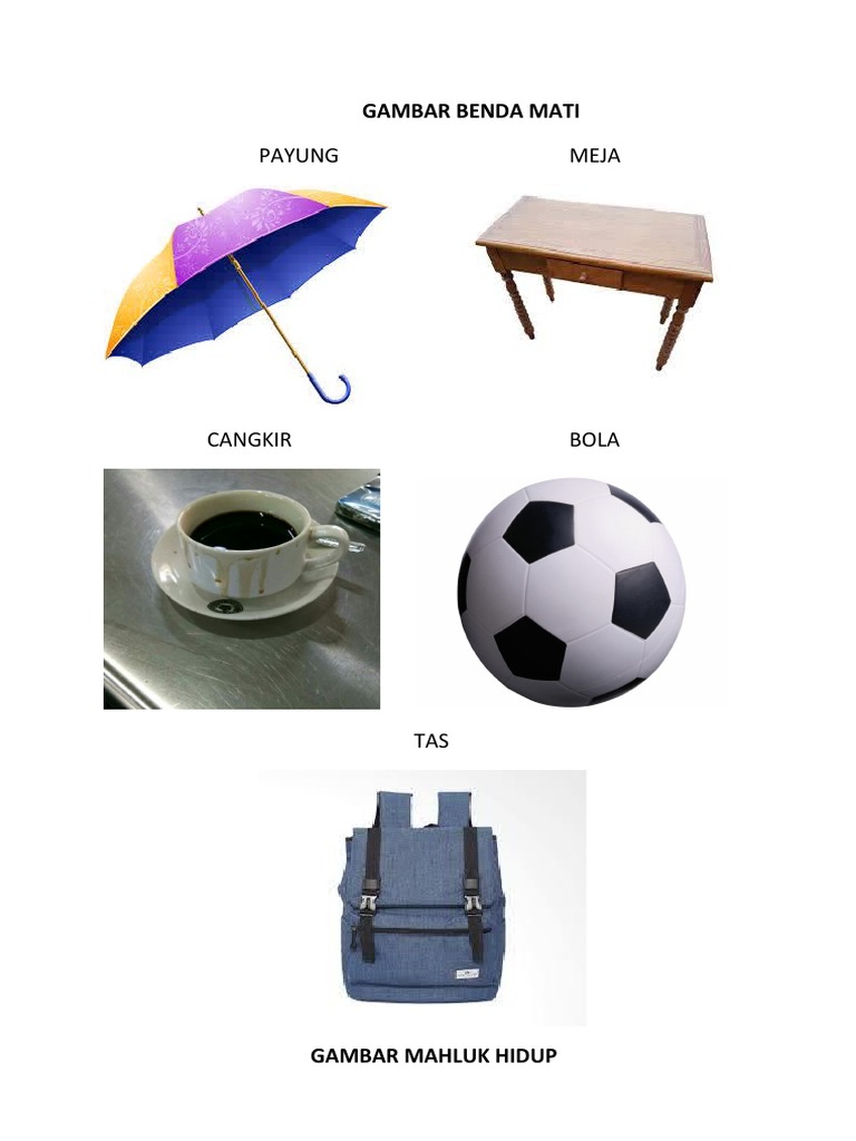 Obyek benda mati dalam gambar model