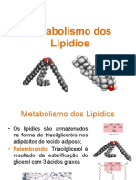 Metabolismo de Lipídeos