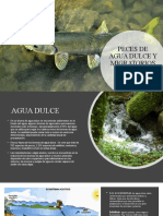 Peces de Agua Dulce y Migratorios