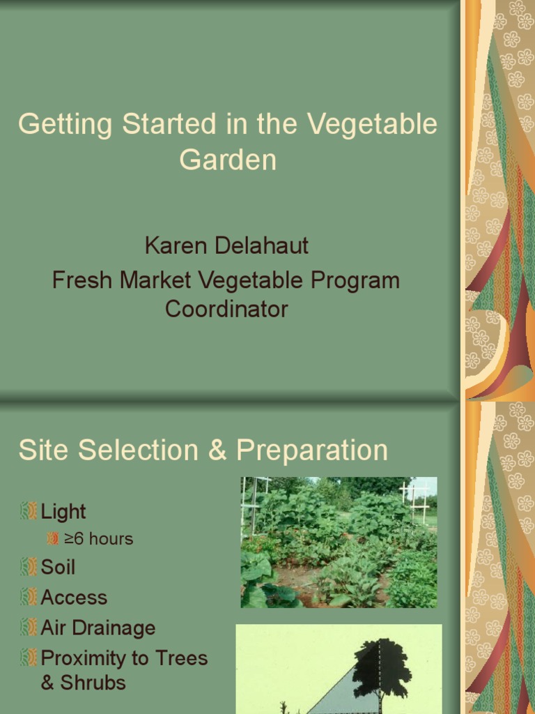 Getting Started in The Vegetable Garden PDF