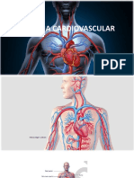 Sistema Cardiovascular