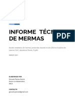 Informe Técnico de Mermas