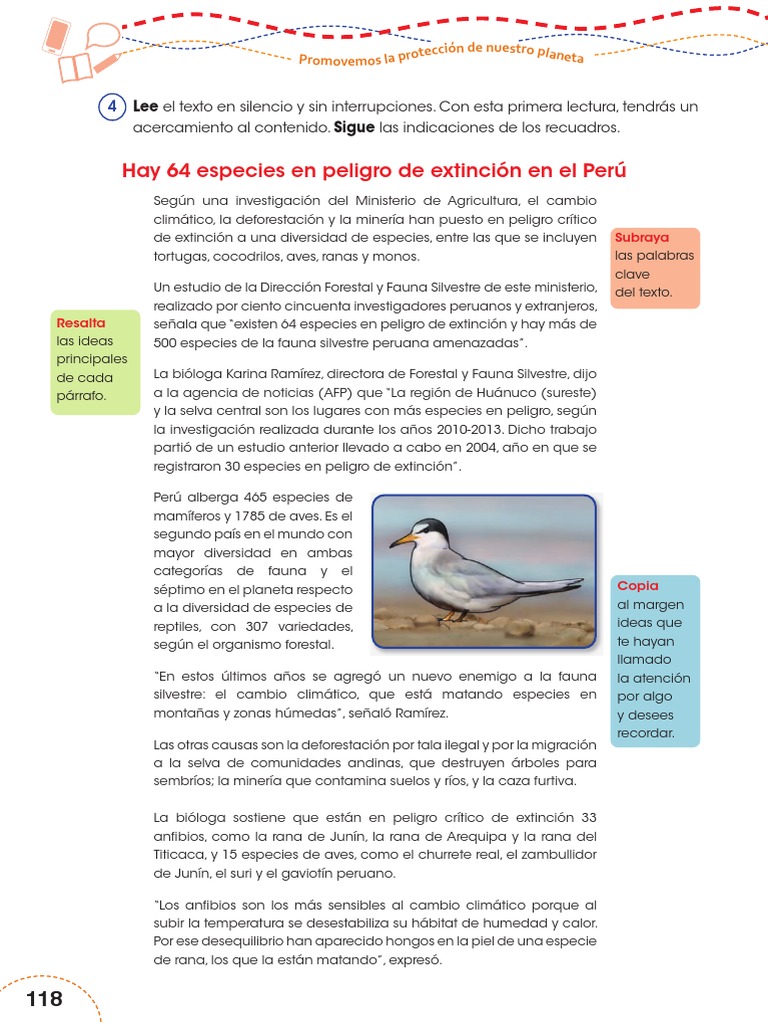 Especies en Peligro de Extinción en Perú | PDF | Especie en peligro | Perú