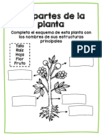 1B_CienciasNaturales_LasPartesDeLaPlantaYSusFunciones