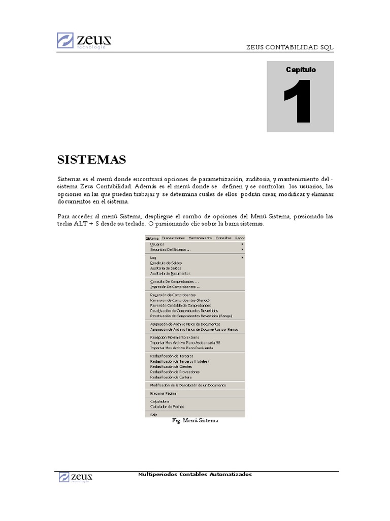 zeus contabilidad PDF Contabilidad Factura