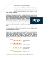 5. Enfermedades cutaneas bacterianas