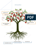 Árbol de Problemas y Soluciones