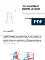 Sistema Vascular