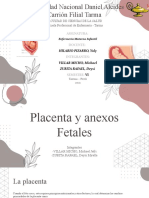 Placenta