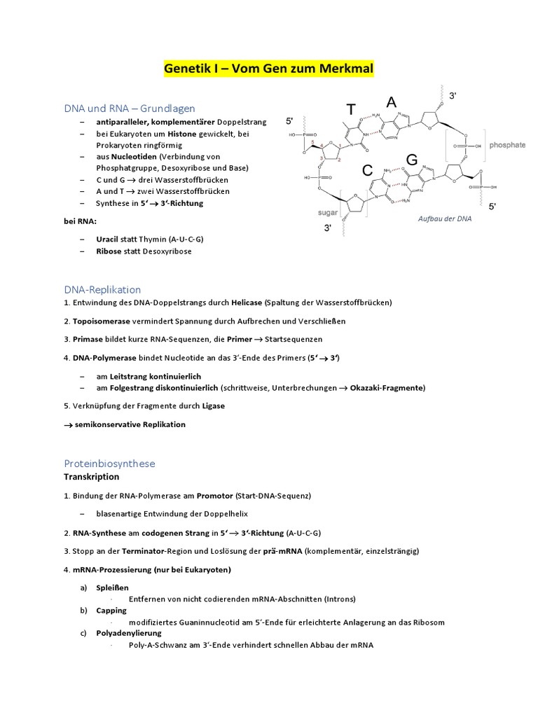 Ã bersicht_Biologie_Abitur_NRW_2022_(alle_Themen) | PDF