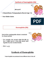 Haemoglobin Synthesis