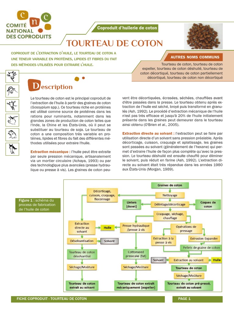 Séchoir à Marc de soja à haute efficacité