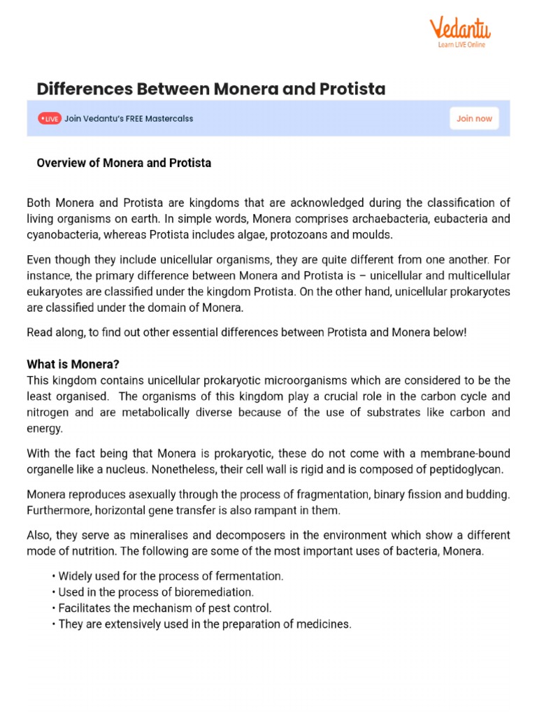 Differences Between Monera and Protista | PDF