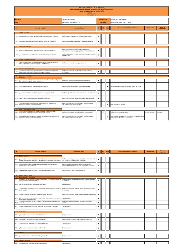 RPR-M1-04 Inspeccion de Control de Riesgos Comité Ejecutivo | PDF