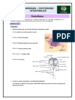 Parasitología 2