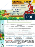 Análise Artigo - Custeio ABC em Empresa Agrícola - Everton, Fernanda, Laura, Tamira