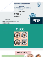 T5 - Ojos y Oidos