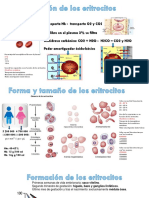 Fisio-Sangre (1) Contestada