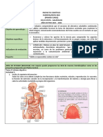 Proyecto Científico